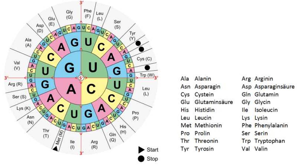 Chart, radar chart Description automatically generated